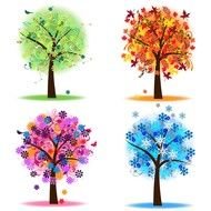 drawings of trees at different times of the year