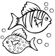 Fish Coloring Pages N10