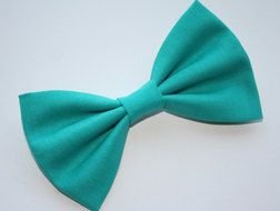 Teal Bow Tie drawing