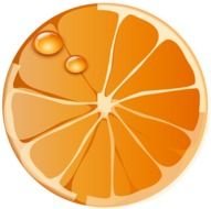 Orange Fruit Clip Art N36