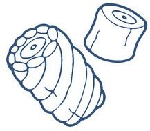 Marshmallow Clip Art N24