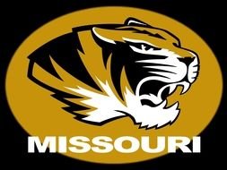 Missouri Tigers Logo drawing