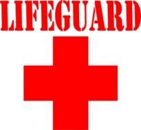 Lifeguard as a Logo