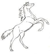 drawing of the Horse