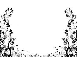 black and white pattern as a graphic illustration