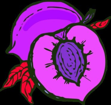 Fruit Cut In Half Clip Art