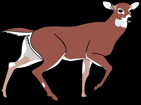 doe walking at black background, drawing