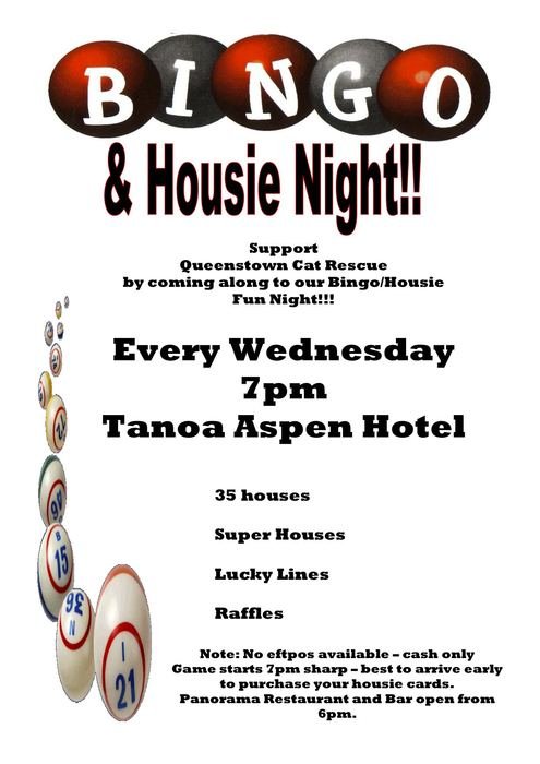 Bingo Housie Night clipart