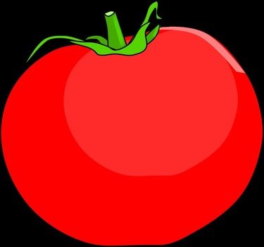 Tomato Slice Clip Art N9