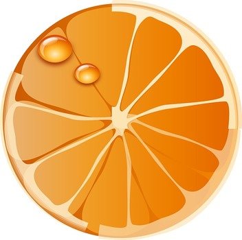 Orange Fruit Clip Art N36