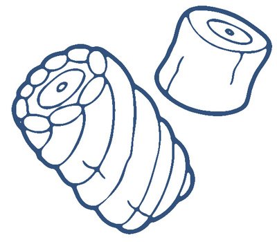 Marshmallow Clip Art N24