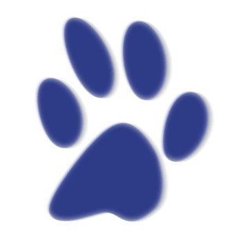 Project Tiger Logo