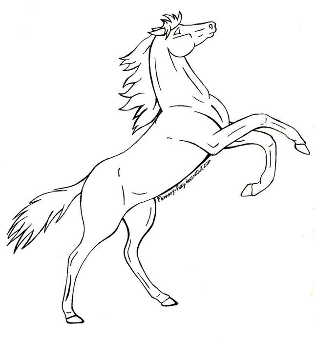drawing of the Horse