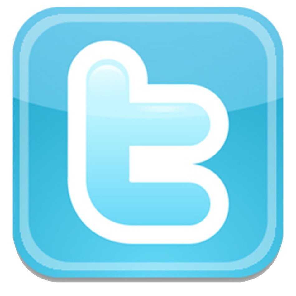glossy blue button with Twitter Logo