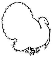 Turkey Coloring Pages N4