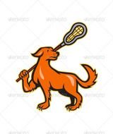 Cartoon Lacrosse Stick N9