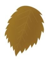 Fall Leaves Clip Art N144