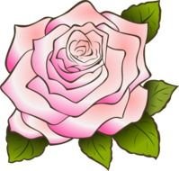 Pink Rose Clip Art N34