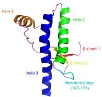 Prion Diagram drawing