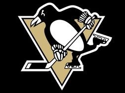 Pittsburgh Penguins Logo N24
