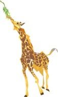 Giraffe Clip Art N88