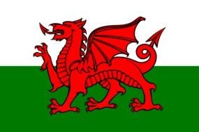 red dragon on the flag as illustration