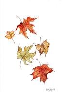 drawing of Falling Leaves