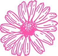 Pink Gerber Daisy Clip Art N3