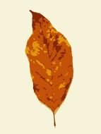 Autumn Leaf Color drawing