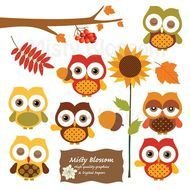 Fall Owl Clip Art N6
