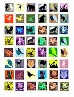 Animal Collage Clip Art