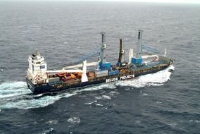Ship with the cranes in the water