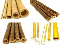 photo of four types of bamboo sticks