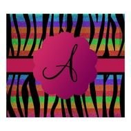Rainbow Zebra Letters