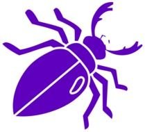 Beetle Clip Art Free N3