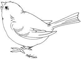 Bird Clip Art N170
