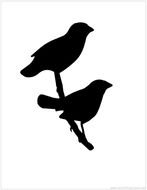 silhouette of birds on a branch
