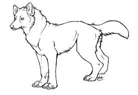 black and white picture of a wolf for coloring