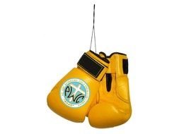 Boxing Glove drawing