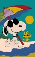Joe Cool in graphic representation
