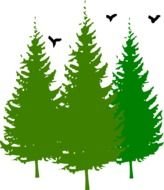 Birds And Tree Clip Art N4