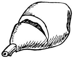 Ham Clip Art N30
