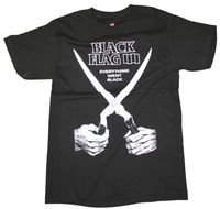 Black Flag Everything Went Album Cover