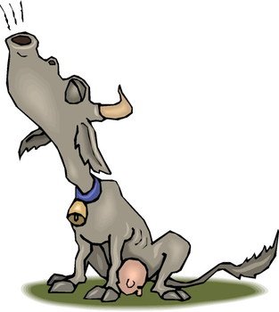 Funny Cow Clip Art N4