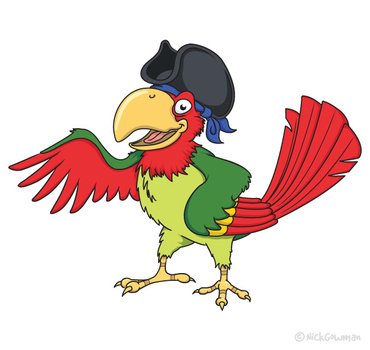 Cartoon Pirate Parrot N7