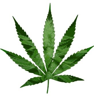 Marijuana Pot Leaf