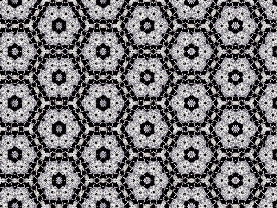 Black Lace on a white background