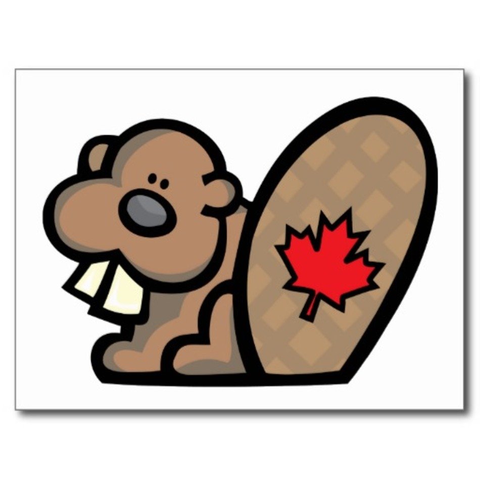 Canadian Beaver Cartoon N3