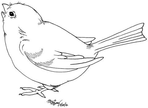 Bird Clip Art N170