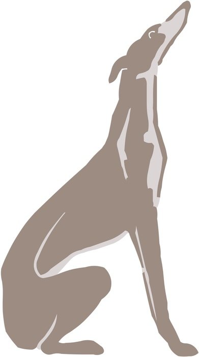 İllustration of Grey dog